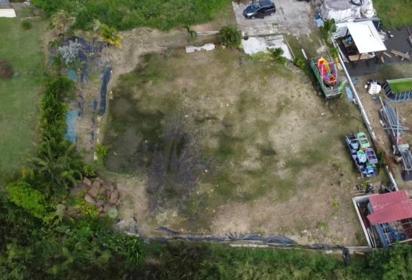 Terrain constructible de 1000 m² (97280 ) Vauclin