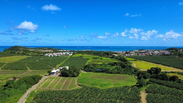 Terrain constructible de 1000 m² (97280 ) Vauclin