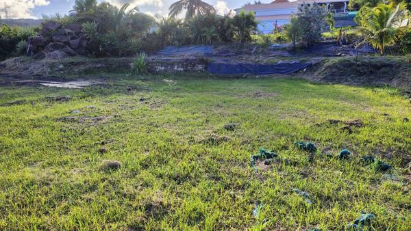 Terrain constructible de 1000 m² (97280 ) Vauclin