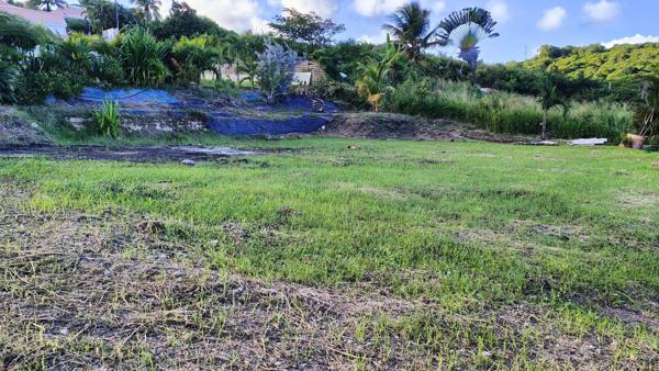 Terrain constructible de 1000 m² (97280 ) Vauclin