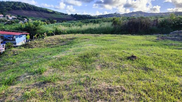 Terrain constructible de 1000 m² (97280 ) Vauclin