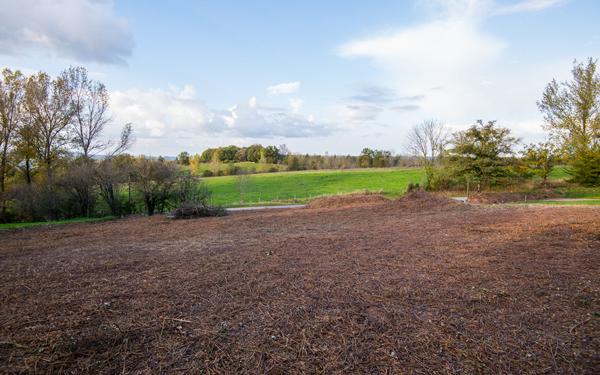 Terrain 1177 m2