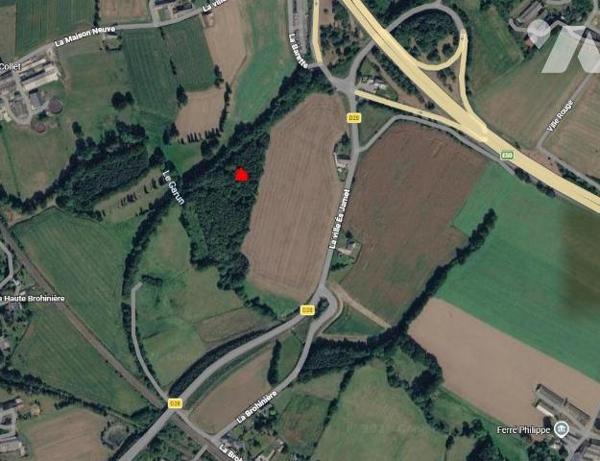 Terrain boisé – 7 370 m²