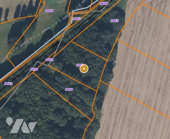 Terrain boisé – 7 370 m²