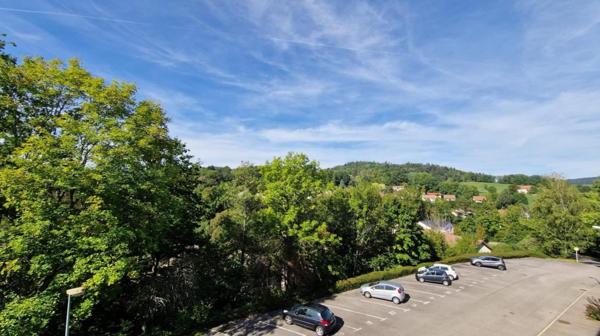 À vendre Appartement 84.71 m² - Saint-dié-des-vosges 88100