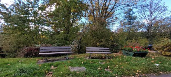 À vendre Appartement 84.71 m² - Saint-dié-des-vosges 88100