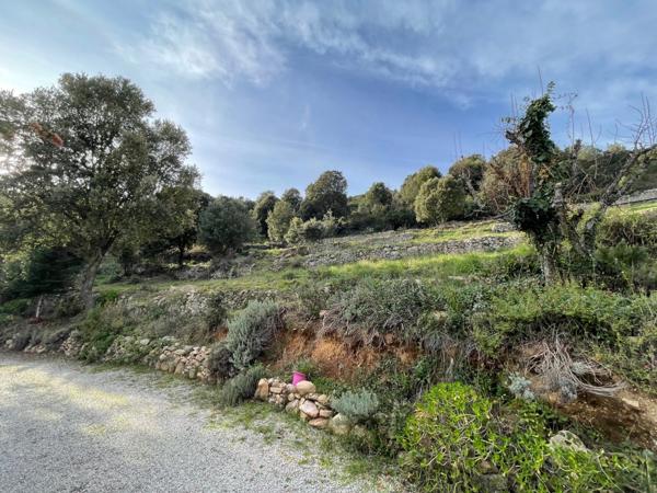 Corse du Sud - Porticcio, Villa contemporaine de 265 m2