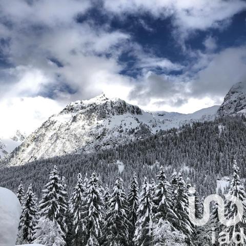 Appartement à vendre 1 pièce 17 m² Le Haut-Bréda