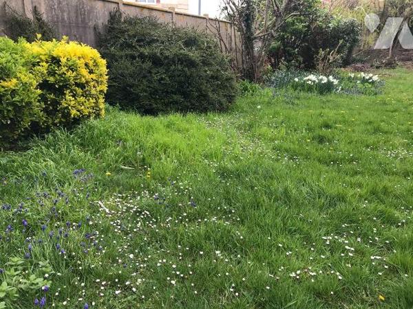 Le TREPORT, face à la mer appartement spacieux comprenant de plain pied: séjour, cuisine, dégag...