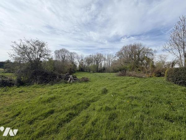 Maison d'habitation de 110m² avec 8160m² de terrain et dépendances 