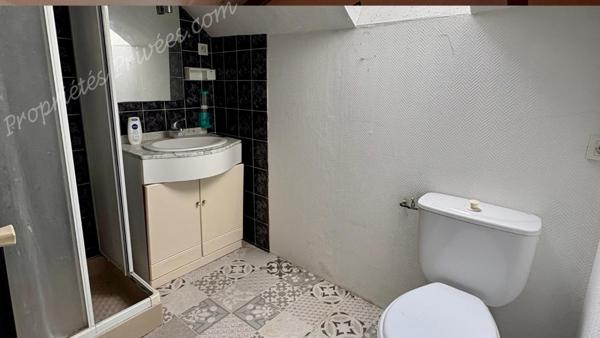 Maison Les Montils 10 pièce(s) 220 m2