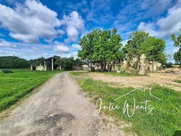 Spécial investisseur, fort potentiel