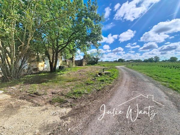 Spécial investisseur, fort potentiel