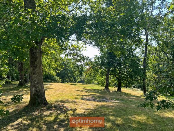 Maison rénovée pleine de charme et de caractère sur son parc boisé d'environ 3 hectares