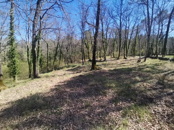 Tourrettes (83440) À Tourrettes, immobilier de prestige : propriété à vendre, idéal investisseur