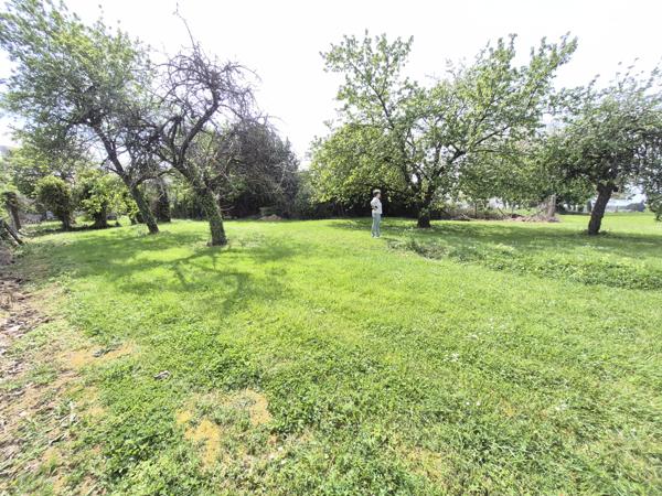 Maison avec dépendance et 2000 m² terrain