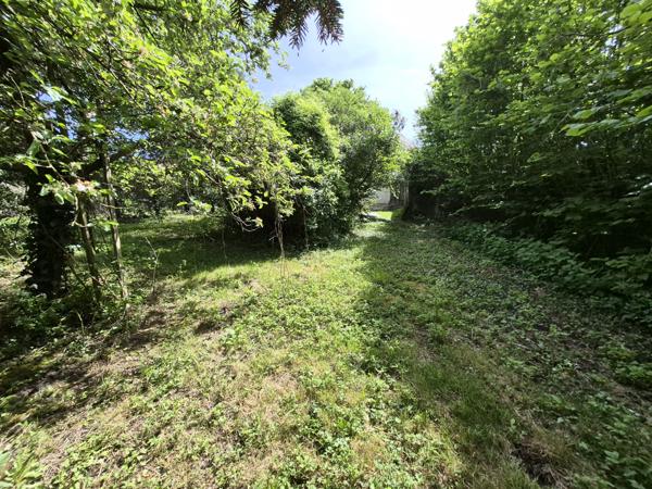 Maison avec dépendance et 2000 m² terrain