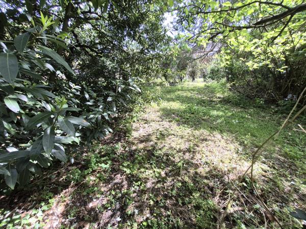 Maison avec dépendance et 2000 m² terrain