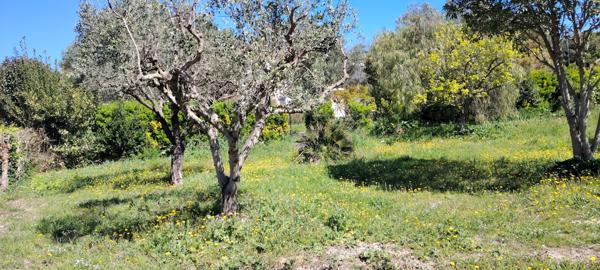 Cassis (13260) Cassis – Terrain 474 m² avec projet villa – Opportunité rare