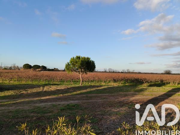 Maison à vendre 3 pièces 70 m² Saint-Laurent-d'Aigouze