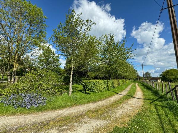 Maison à vendre    5 pièces •  Nocé