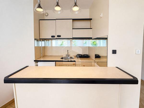 Canet en Roussillon, Plage Sud : Studio vendu meublé 21 m2 avec terrasse vue mer à vendre