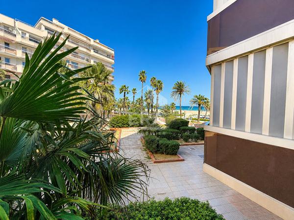 Canet en Roussillon, Plage Sud : Studio vendu meublé 21 m2 avec terrasse vue mer à vendre