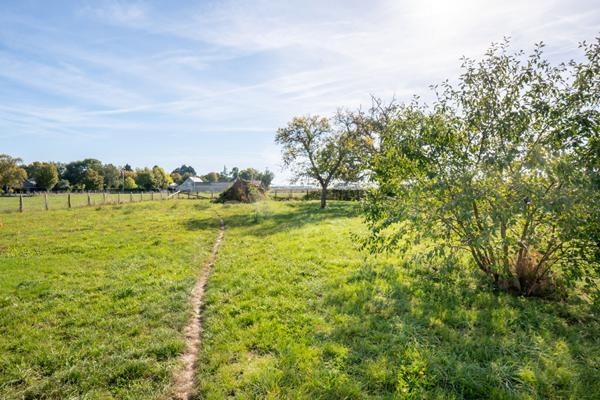 Superbe longère rénovée 200m² avec piscine - Saint Lambert des Levées