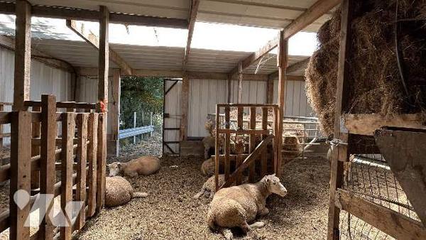 Maison de campagne, dépendances, terrain