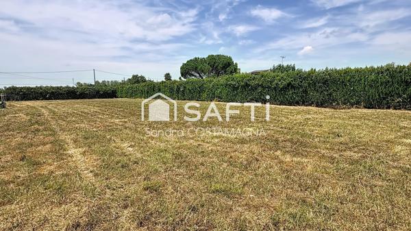 Beau terrain plat