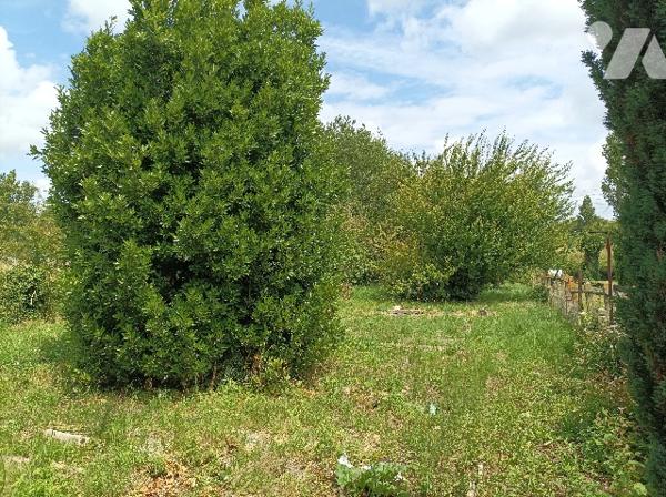 À NOUVEAU SUR LE MARCHE - MAISON 95m² - 852m² DE TERRAIN - CENTRE VILLE -
 99 000 €