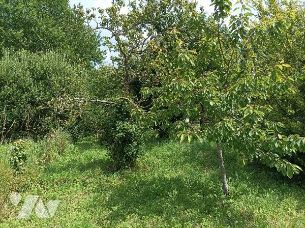 À NOUVEAU SUR LE MARCHE - MAISON 95m² - 852m² DE TERRAIN - CENTRE VILLE -
 99 000 €