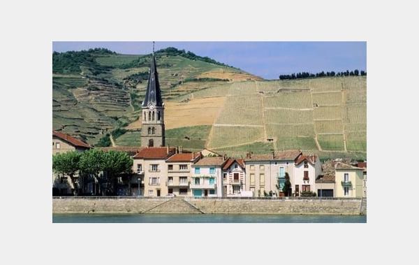 Vente Terrain Constructible Larnage   