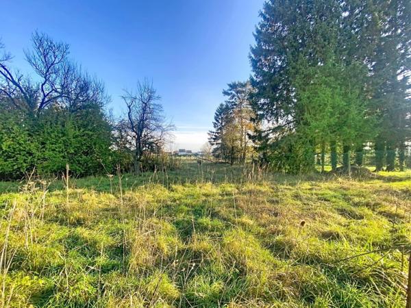 Spacieuse maison à renover