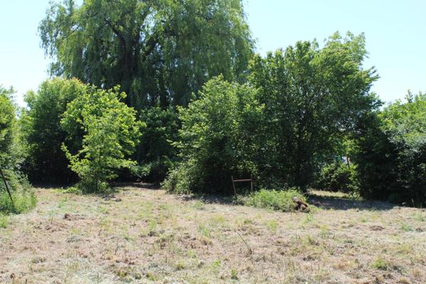 Maison rénovée avec grand jardin sans vis à vis.