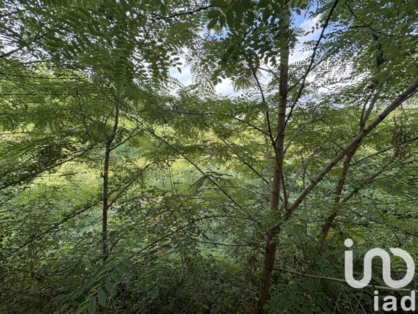 Maison à vendre 5 pièces 200 m² Mont-de-Marsan