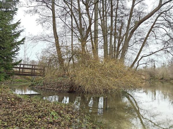 Maison à vendre à Saint-Étienne-sur-Suippe dans la Marne (51110), ref : 51057-1067