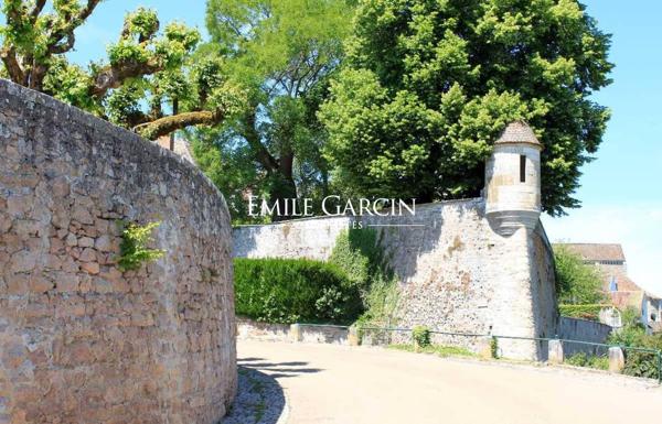 A VENDRE-Avallon- Hôtel Particulier- idéal projet commercial-