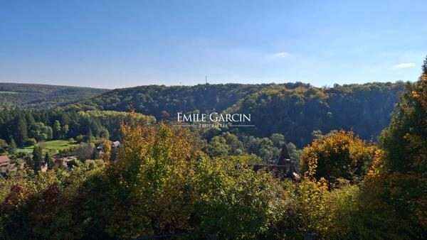 A VENDRE-Avallon- Hôtel Particulier- idéal projet commercial-