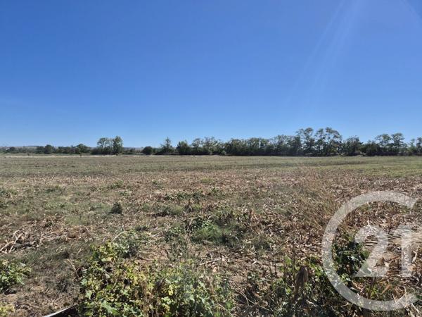 Terrain à vendre  3605 m 2   MIREMONT  - 31
