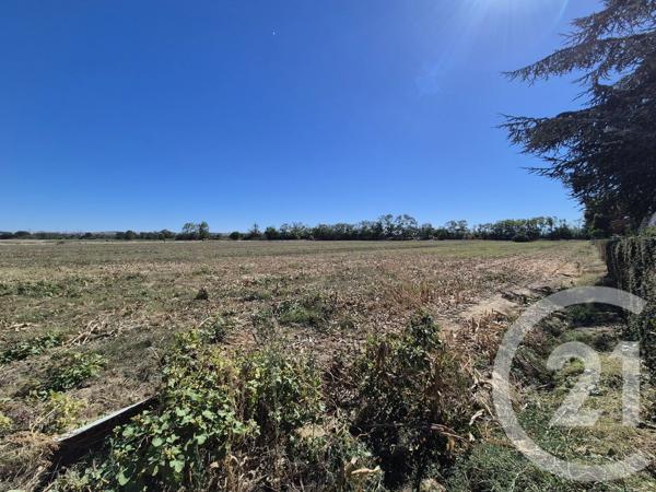 Terrain à vendre  3605 m 2   MIREMONT  - 31