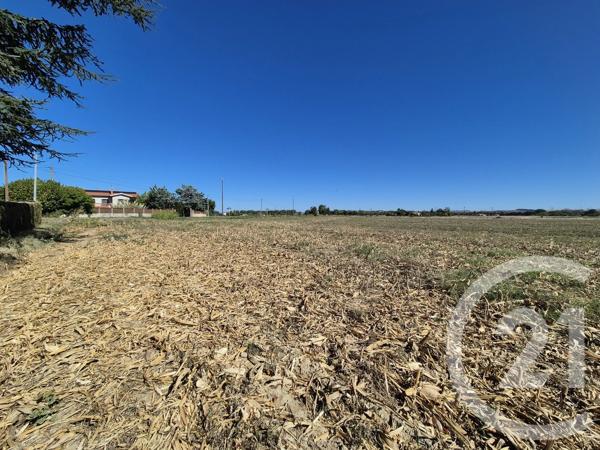 Terrain à vendre  3605 m 2   MIREMONT  - 31