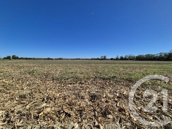 Terrain à vendre  3605 m 2   MIREMONT  - 31