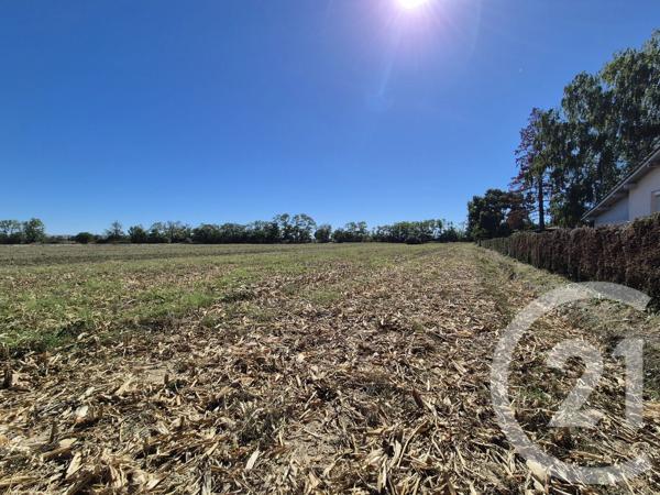 Terrain à vendre  3605 m 2   MIREMONT  - 31