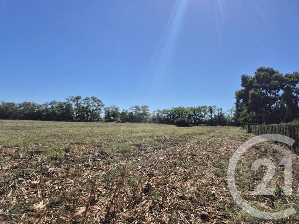 Terrain à vendre  3605 m 2   MIREMONT  - 31