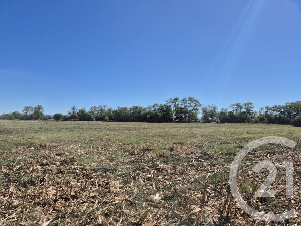 Terrain à vendre  3605 m 2   MIREMONT  - 31