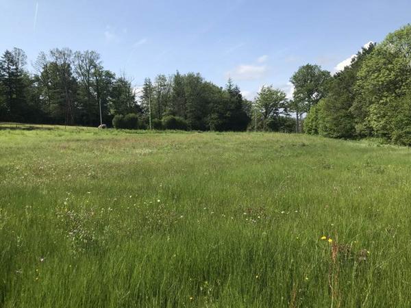 Terrain à vendre |  Saint-Laurent-sur-Gorre |  5880 m²