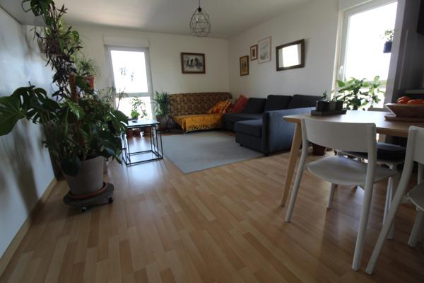 NANTES à l’extrême EST de l’île BEAULIEU et à proximité du PARC NATUREL, dans immeuble avec ASCENCEUR, Appartement T3 entièrement MEUBLE de 65.30m² avec LOGGIA, CAVE et BOX sécurisé pour un véhicule