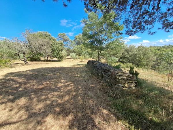 Maison éco-performante de 190 m² sur 1,5 hectare avec piscine