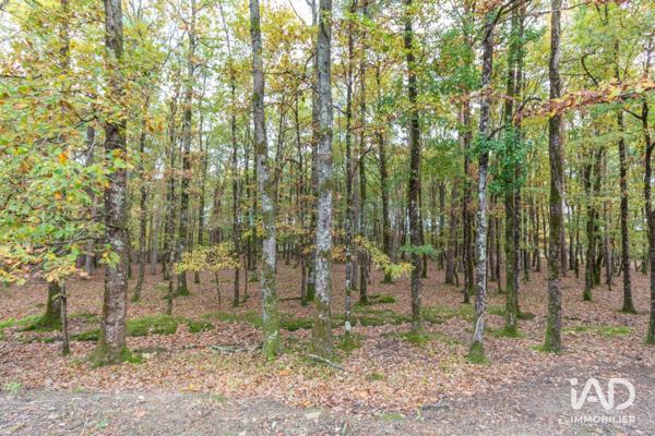 Maison à vendre 4 pièces 151 m² Sury-aux-Bois